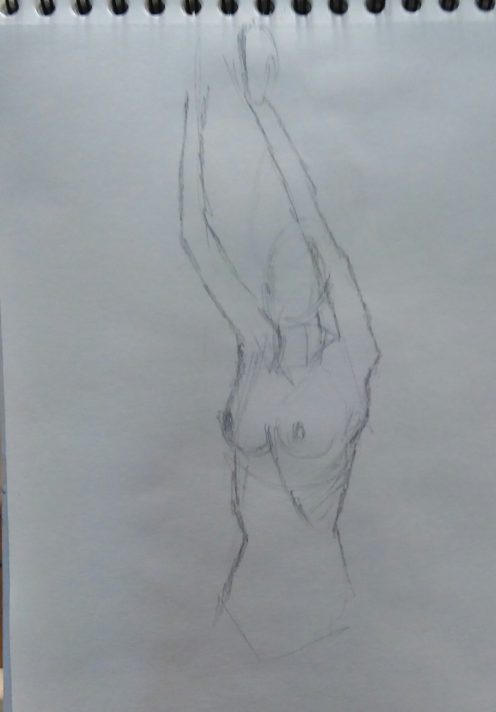 modelo_1_5