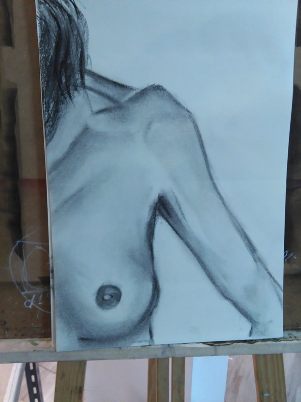 modelo_5